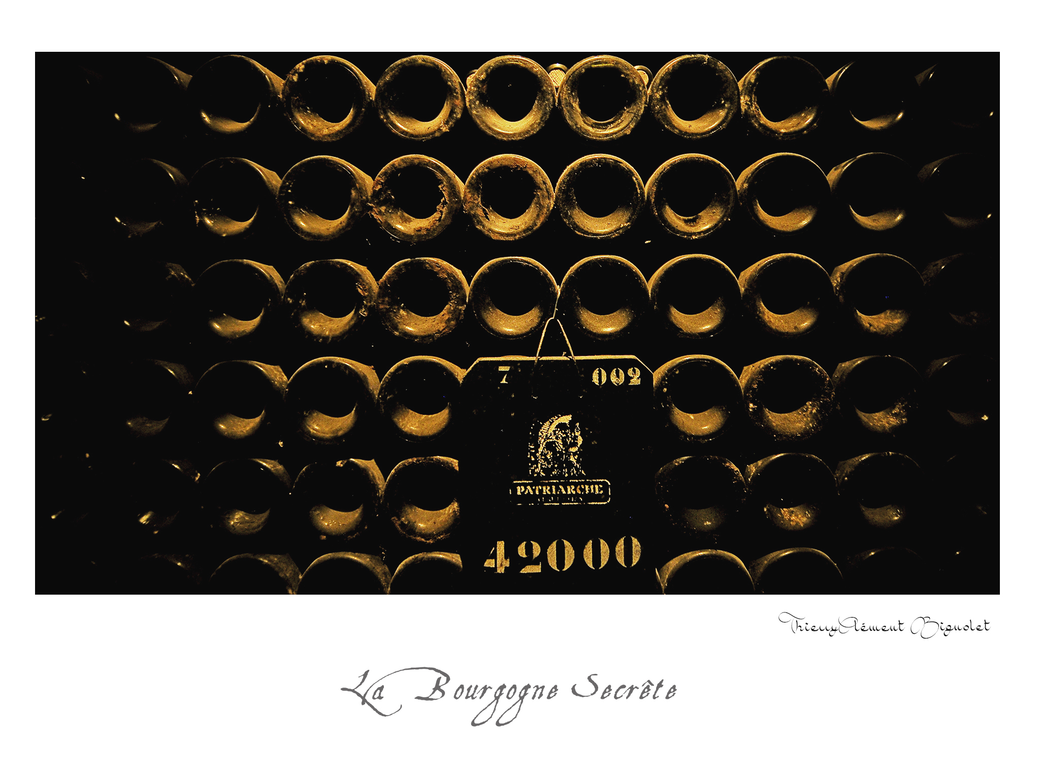 009 BOURGOGNE2016 20481